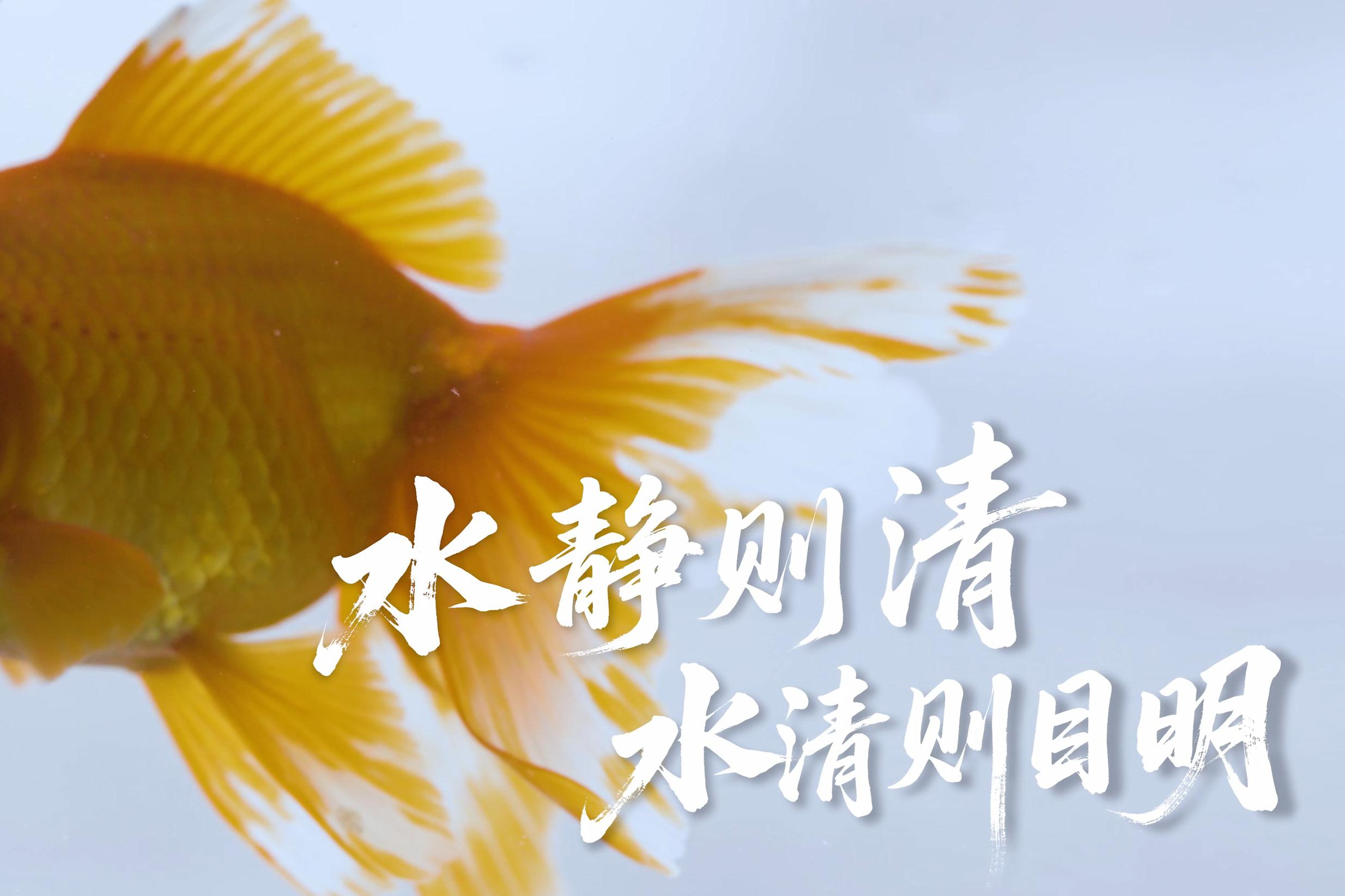 qy-ǧ��(���ѻ�)�ٷ���վ